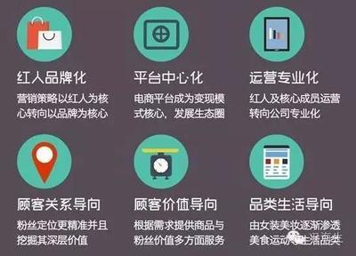 不是猪也能飞,IP与网红经济,你要上天吗? - 今日头条(TouTiao.org)
